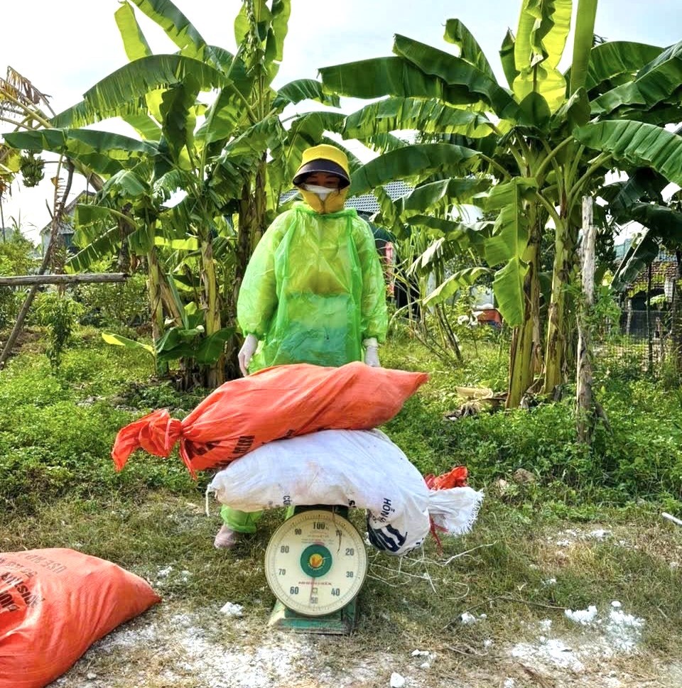 Nghệ An: Xuất hiện nhiều ổ dịch H5N1, tiêu hủy gần 10.000 con gia cầm