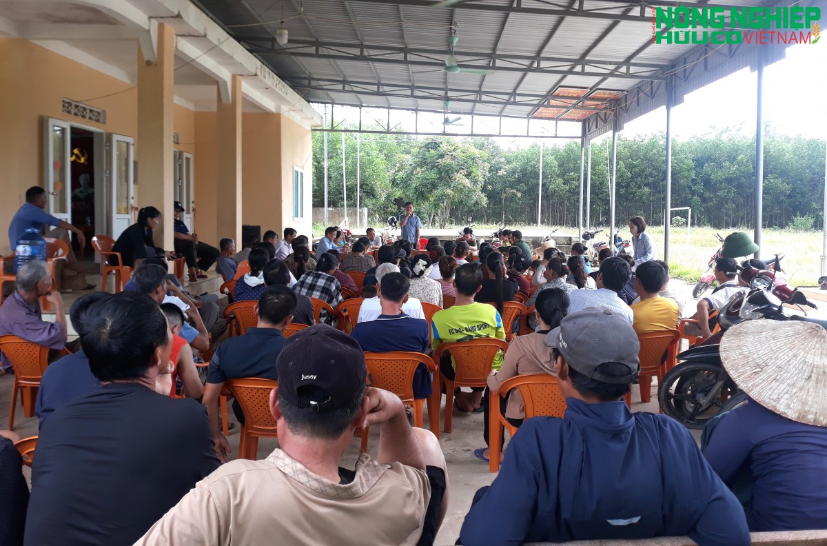 Nghệ An: Người dân bắt quả tang trại lợn xả thải trong đêm