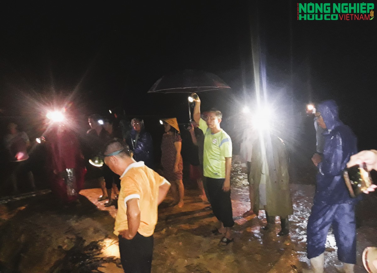 Nghệ An: Người dân bắt quả tang trại lợn xả thải trong đêm