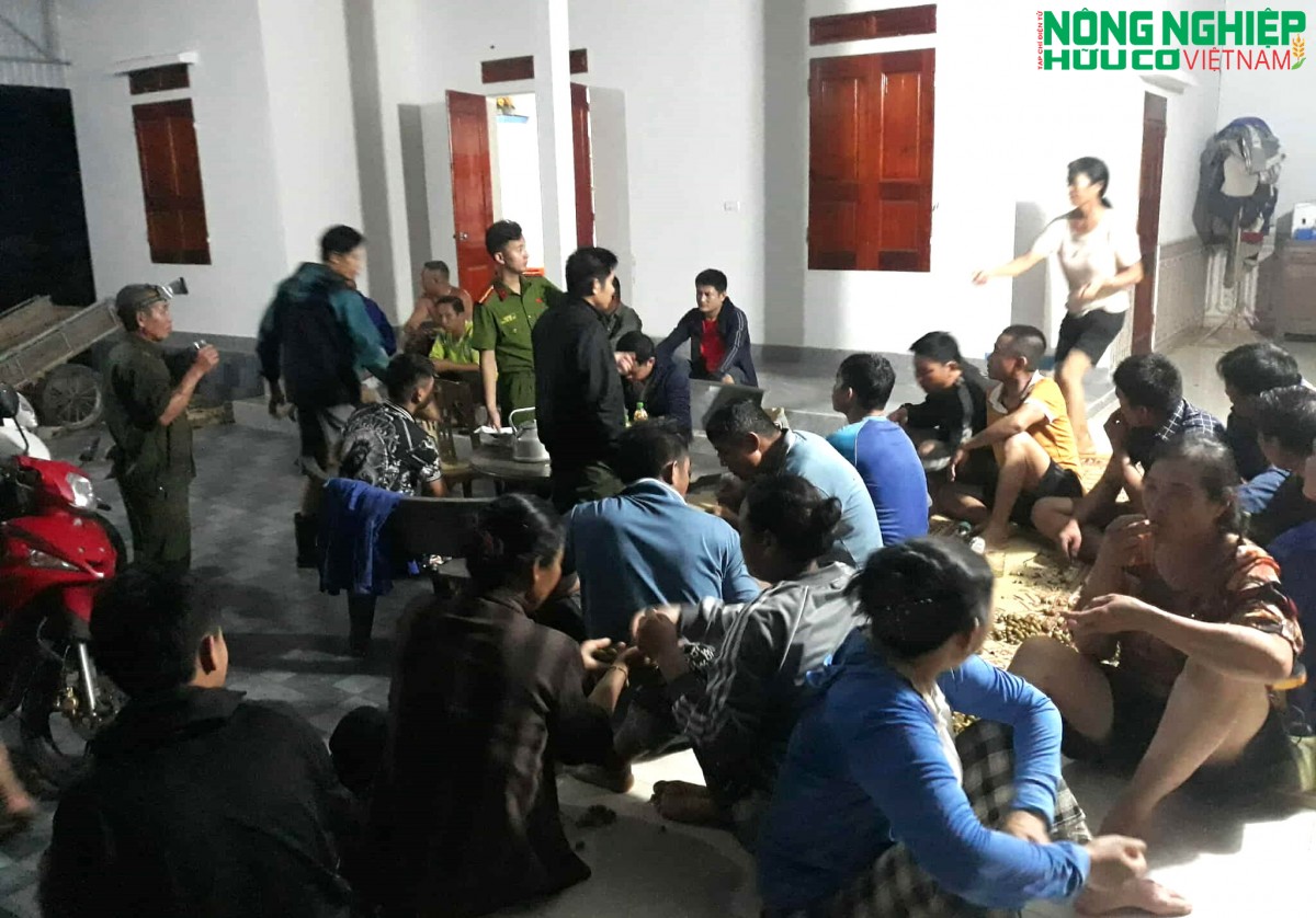 Nghệ An: Người dân bắt quả tang trại lợn xả thải trong đêm