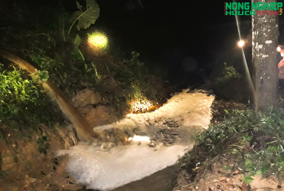 Nghệ An: Người dân dầm mưa, bắt quả tang trang trại lợn xả thải trong đêm