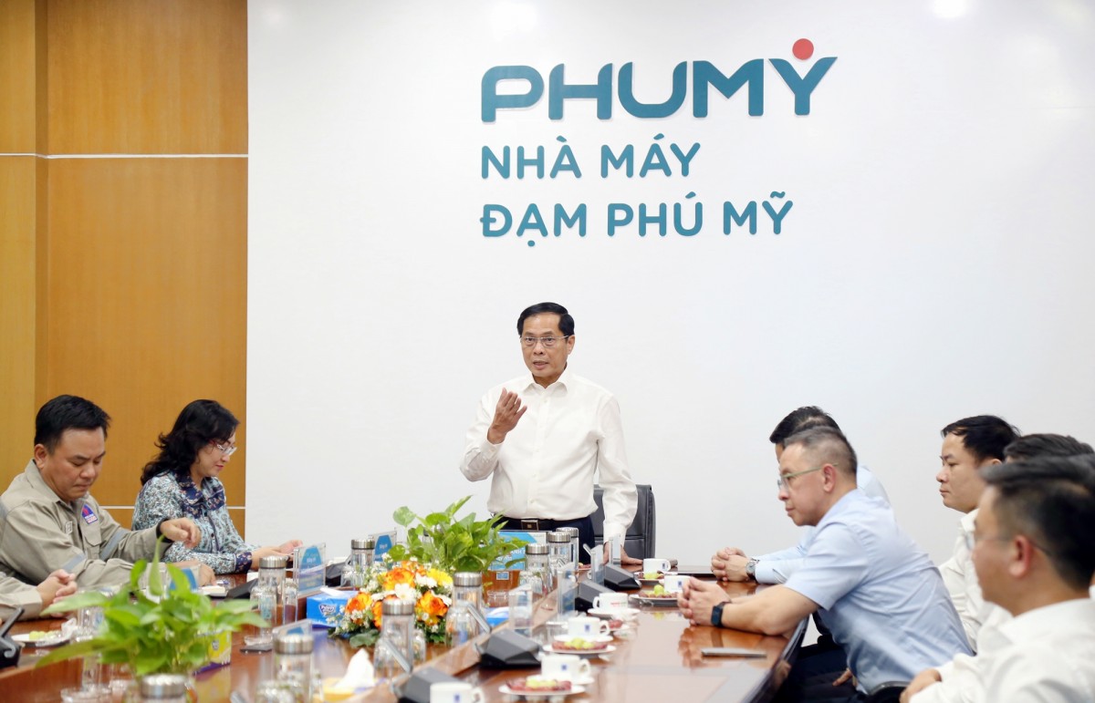 Phó thủ tướng Bùi Thanh Sơn thăm nhà máy Đạm Phú Mỹ