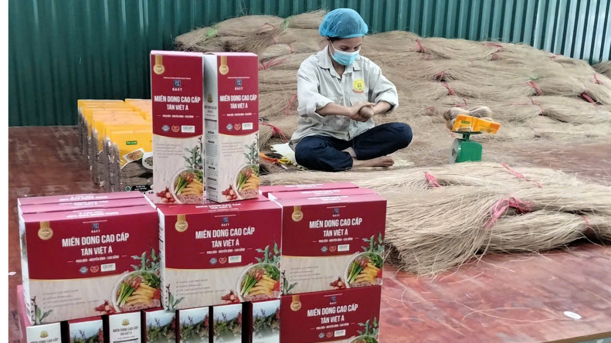 Miến dong Tân Việt Á vươn ra “biển lớn”