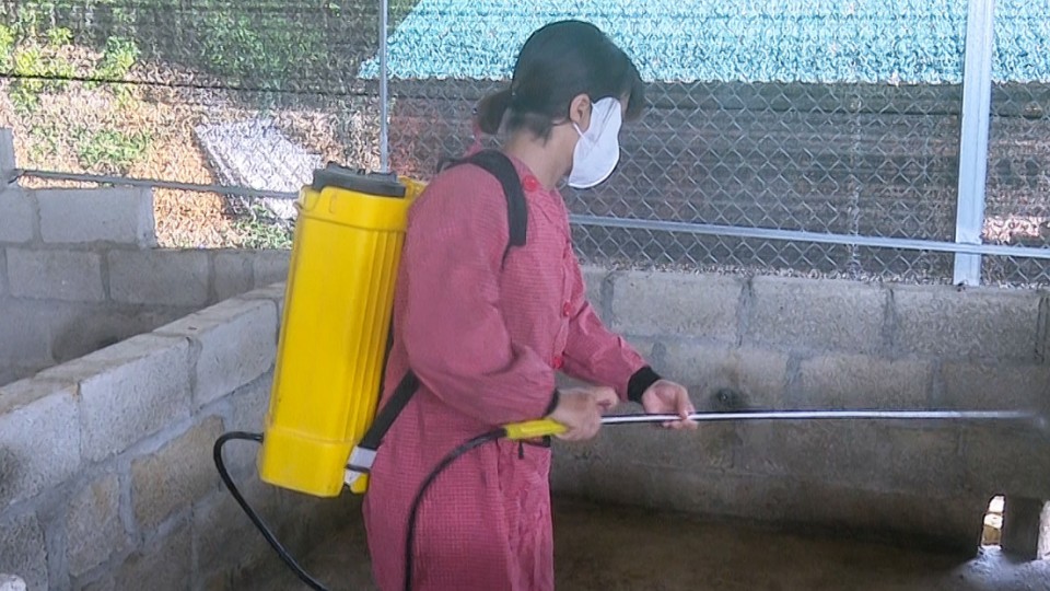 Cao Bằng: Xã Hòa An cấp phát 660 lít hóa chất phòng chống dịch tả lợn Châu Phi