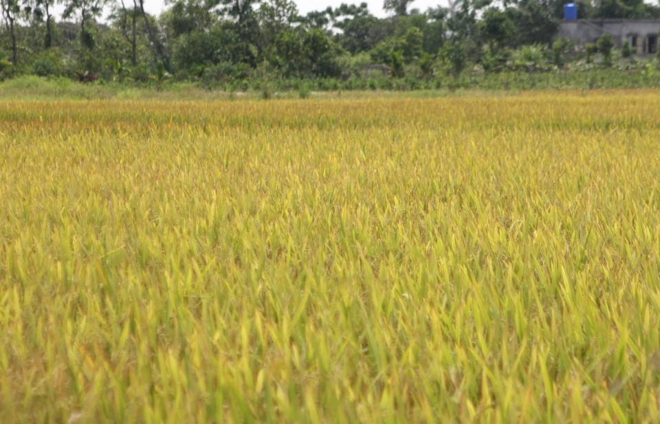 Công ty Cổ phần SumacG Crow Biotech 10 năm vững bước trên con đường đã chọn