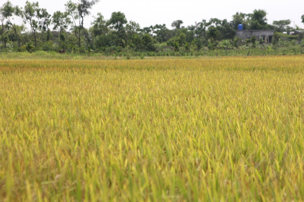 Công ty Cổ phần SumacG Crow Biotech 10 năm vững bước trên con đường đã chọn