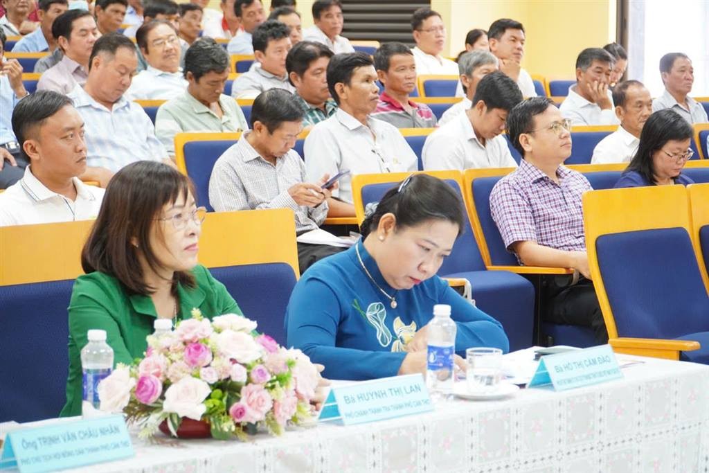 Cần Thơ: Cần sự đồng lòng của “4 nhà” trong phát triển sầu riêng xuất khẩu