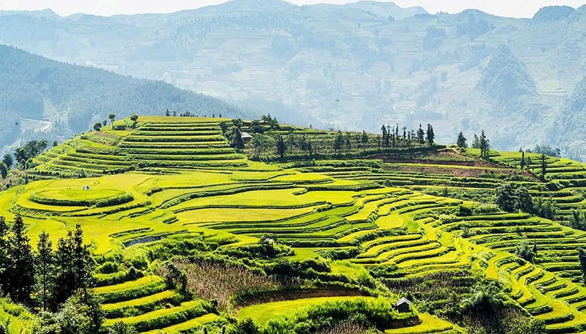 Bắc Hà tổ chức Festival “Nghiêng say mùa thu” dịp lễ 02/9
