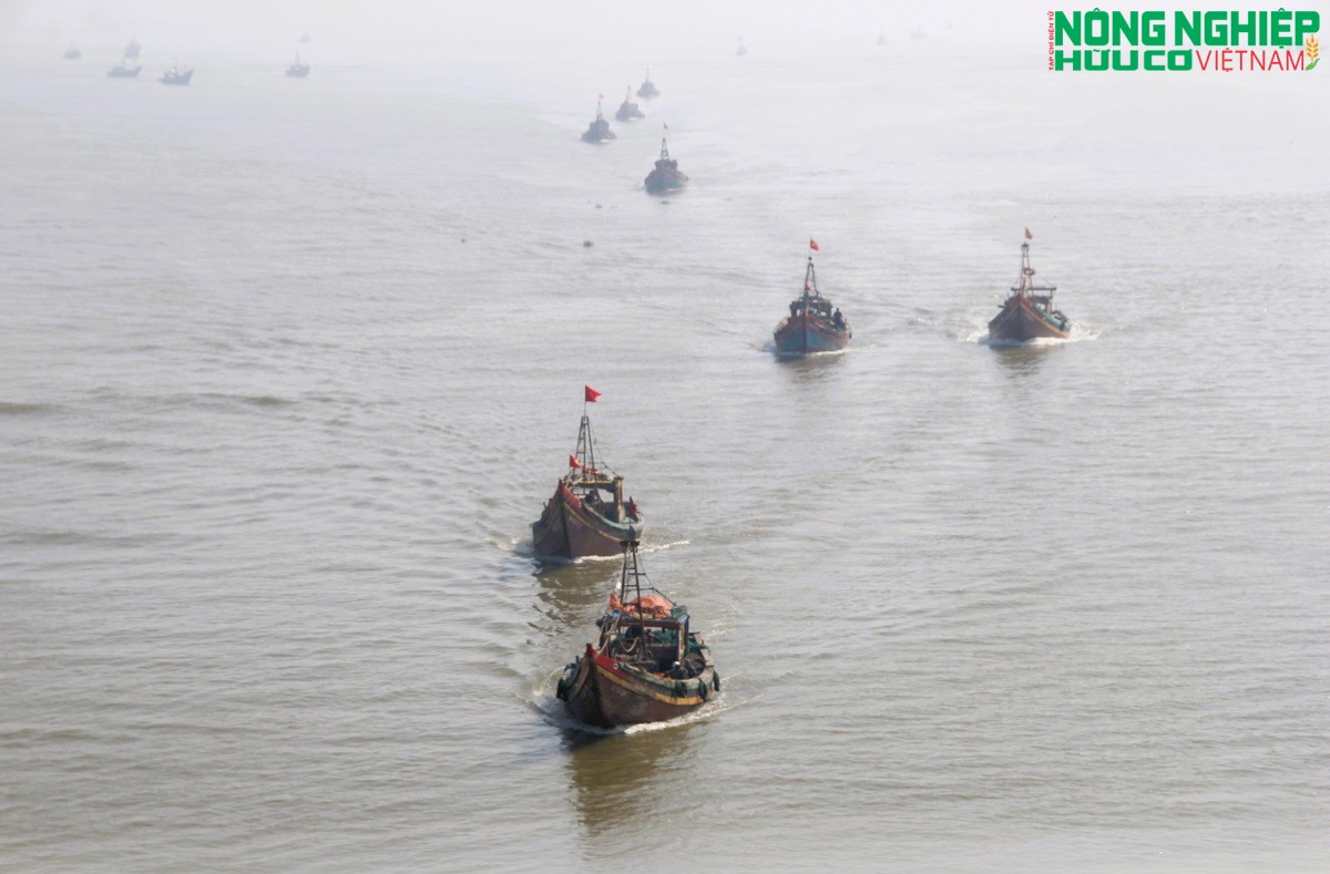 Nghệ An siết chặt công tác chống khai thác IUU, đảm bảo 100% tàu cá không vi phạm vùng biển nước ngoài