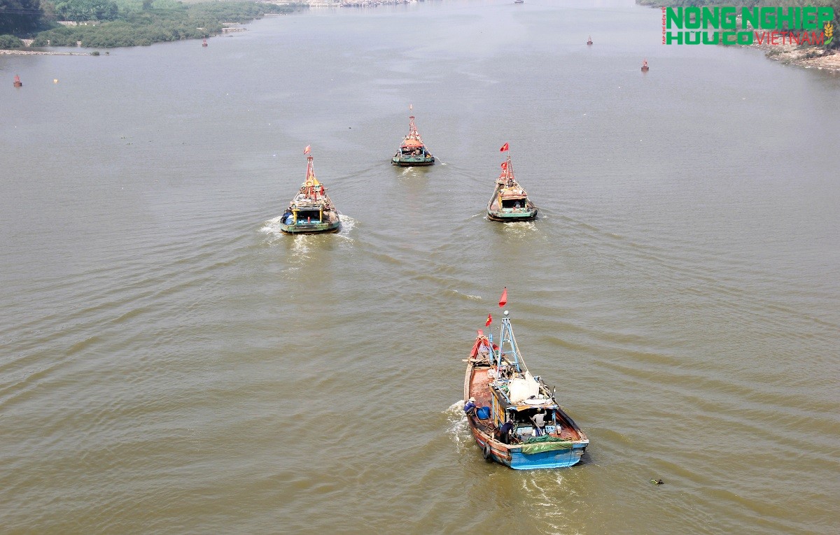 Nghệ An cấm biển, chủ động ứng phó với bão số 5
