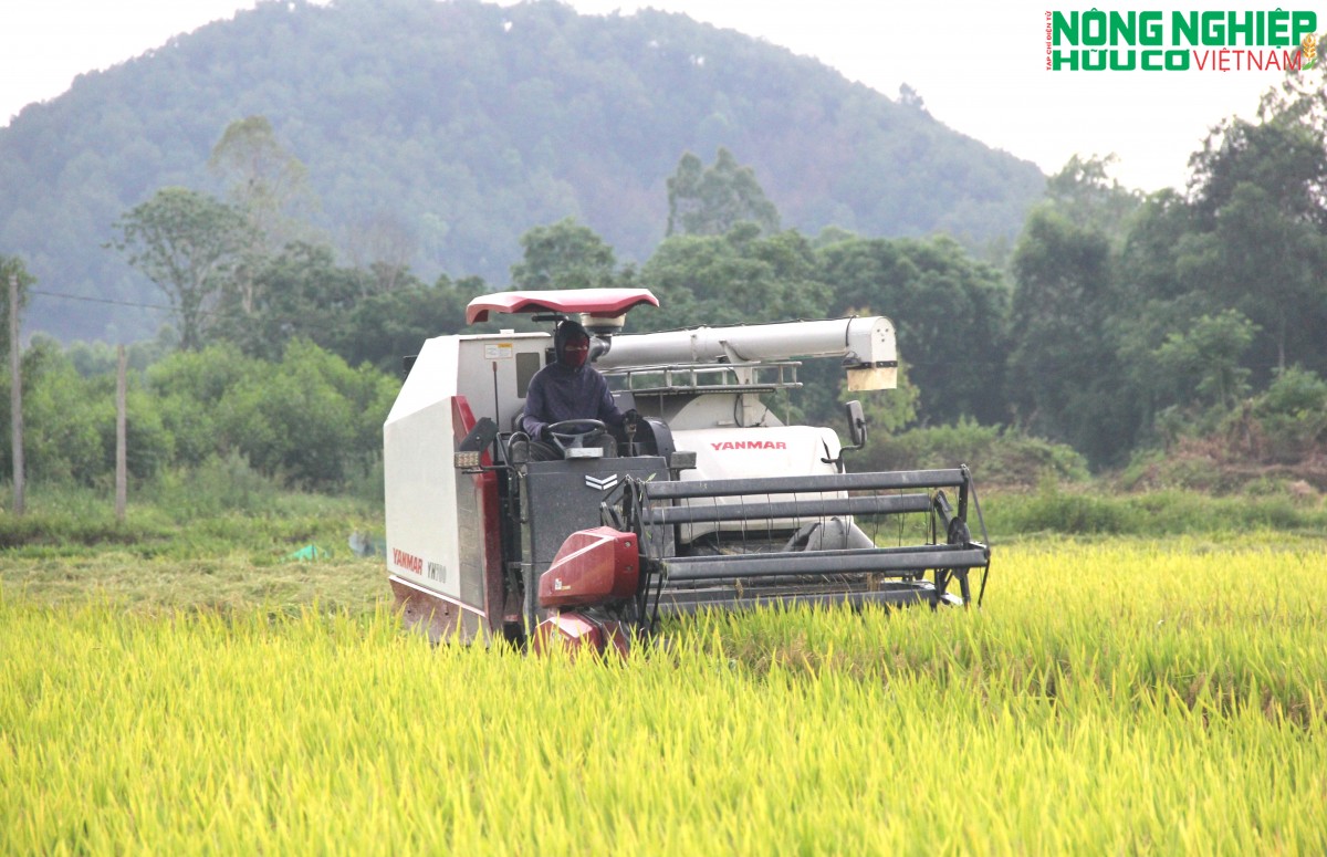 Nghệ An phát triển HTX nông nghiệp ứng dụng công nghệ cao gắn với chế biến và tiêu thụ sản phẩm