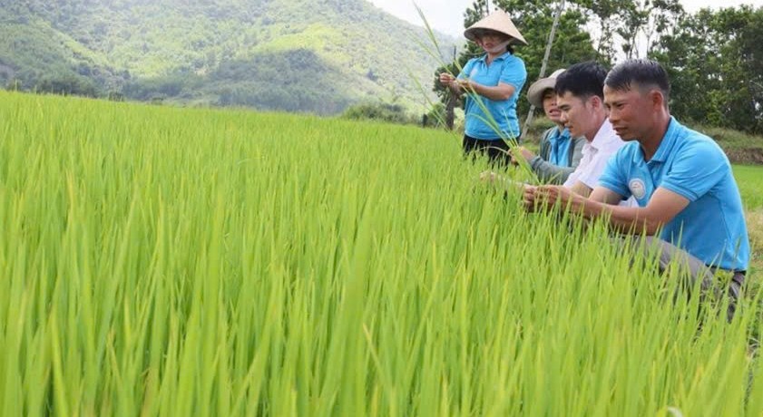 Tái cơ cấu nông nghiệp để nông sản Đắk Lắk chinh phục thị trường khó tính toàn cầu