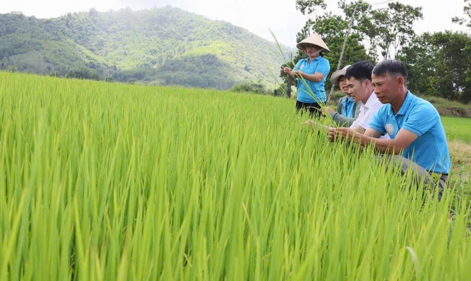 Tái cơ cấu nông nghiệp để nông sản Đắk Lắk chinh phục thị trường khó tính toàn cầu