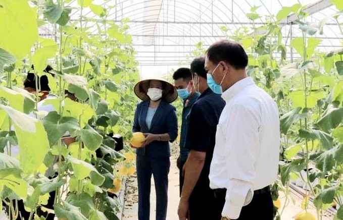 Công ty Đầu tư và Phát triển Nông nghiệp Hà Nội: Với mục tiêu nâng cao giá trị sản phẩm nông nghiệp