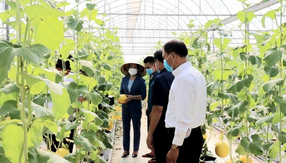 Công ty Đầu tư và Phát triển Nông nghiệp Hà Nội: Với mục tiêu nâng cao giá trị sản phẩm nông nghiệp