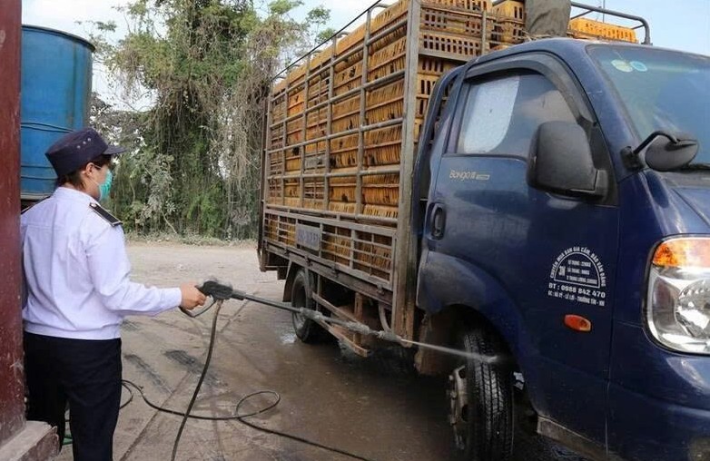 Gia Lai thành lập 4 chốt kiểm soát dịch bệnh động vật liên ngành