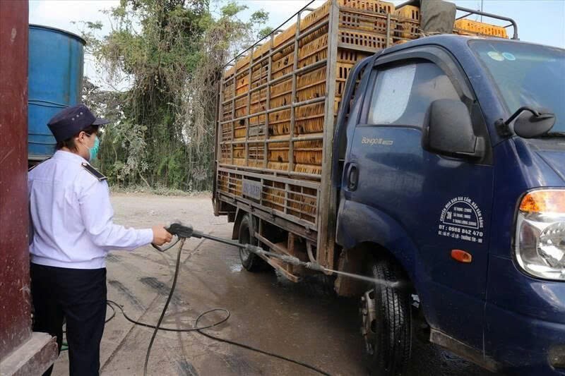 Gia Lai thành lập 4 chốt kiểm soát dịch bệnh động vật liên ngành