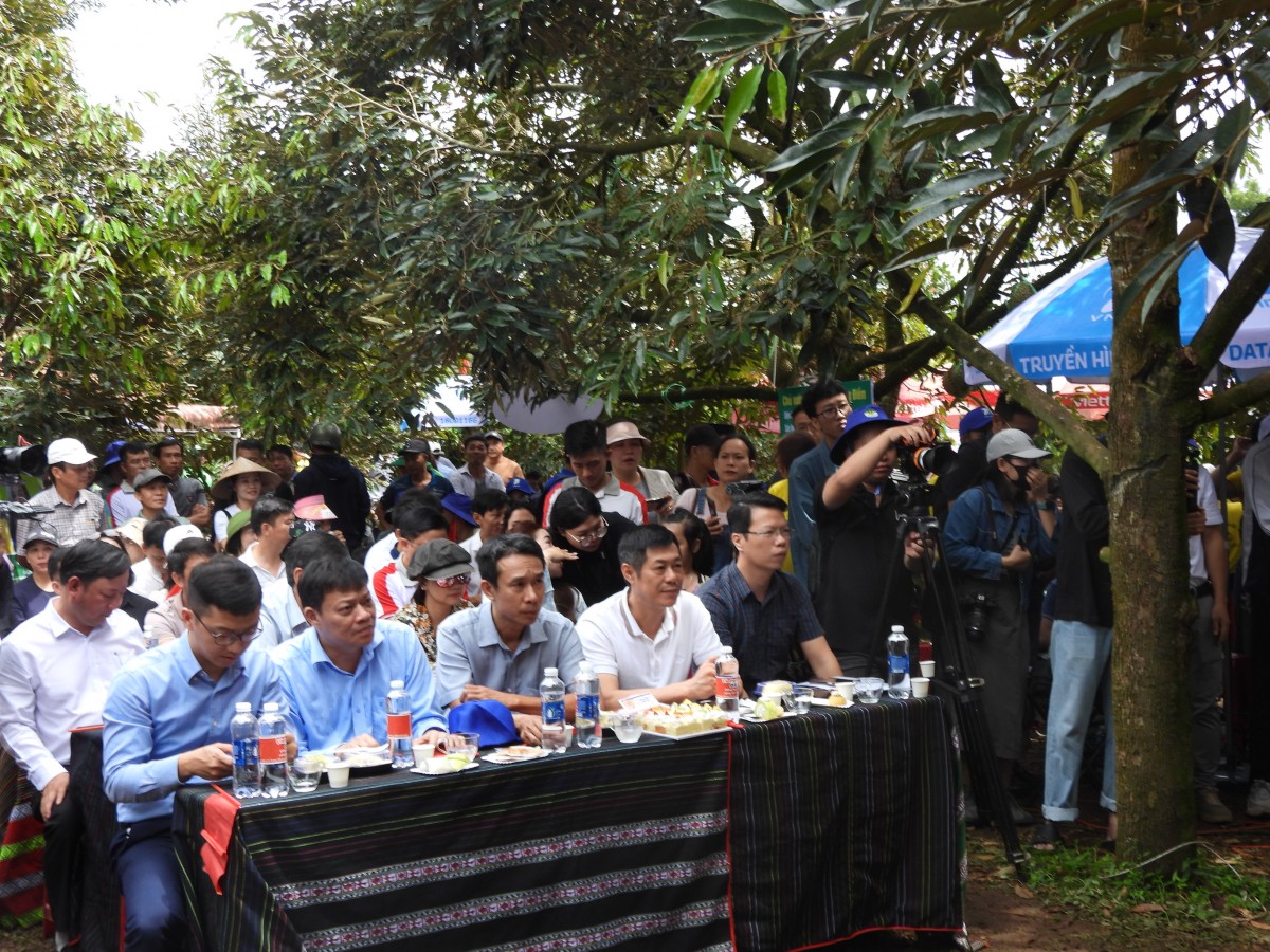 Đắk Lắk: Nữ Bí thư xã ‘lên sóng’ livestream bán hơn 60 tấn sầu riêng