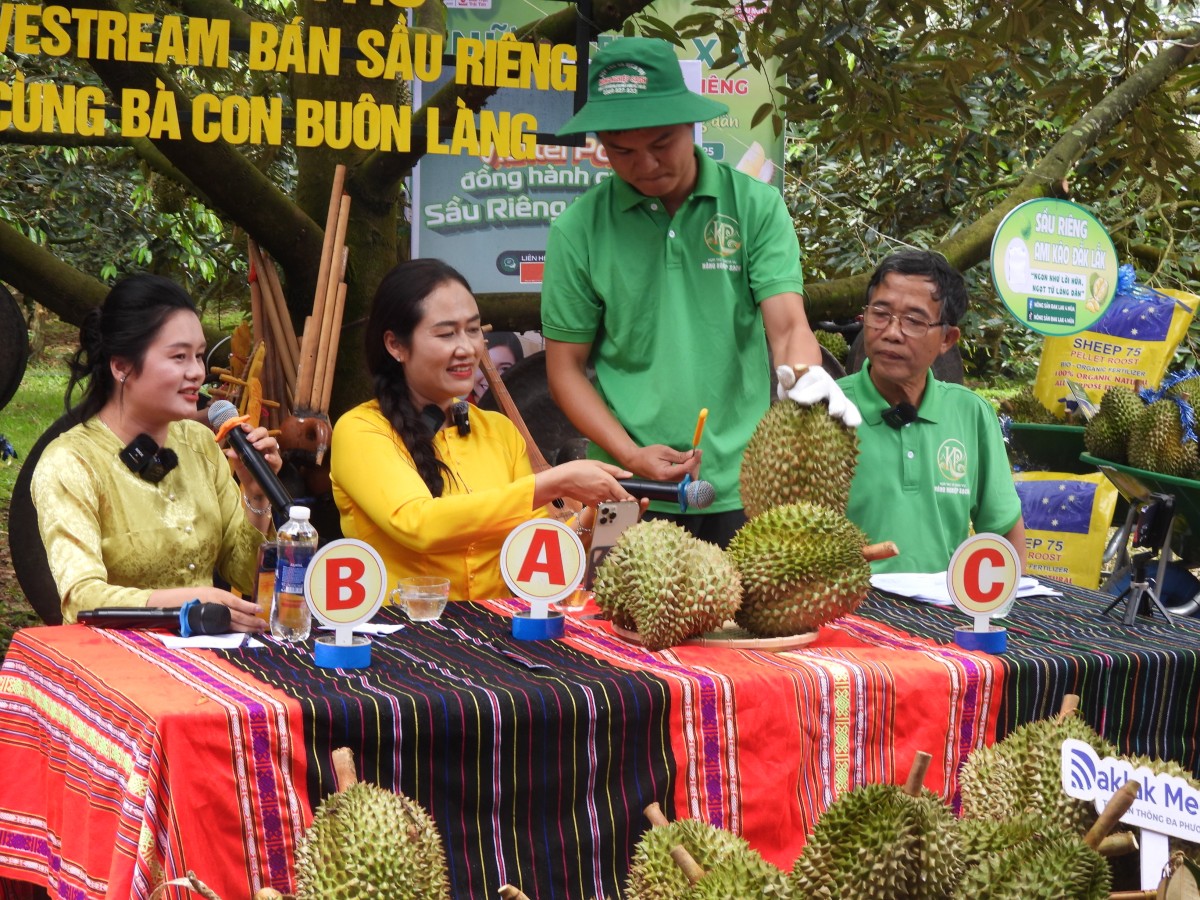 Đắk Lắk: Nữ Bí thư xã ‘lên sóng’ livestream bán hơn 60 tấn sầu riêng