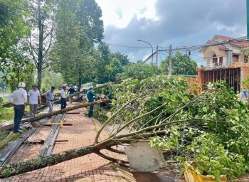 Lâm Đồng chủ động ứng phó với mưa lớn, lũ, ngập lụt, lũ quét, sạt lở đất
