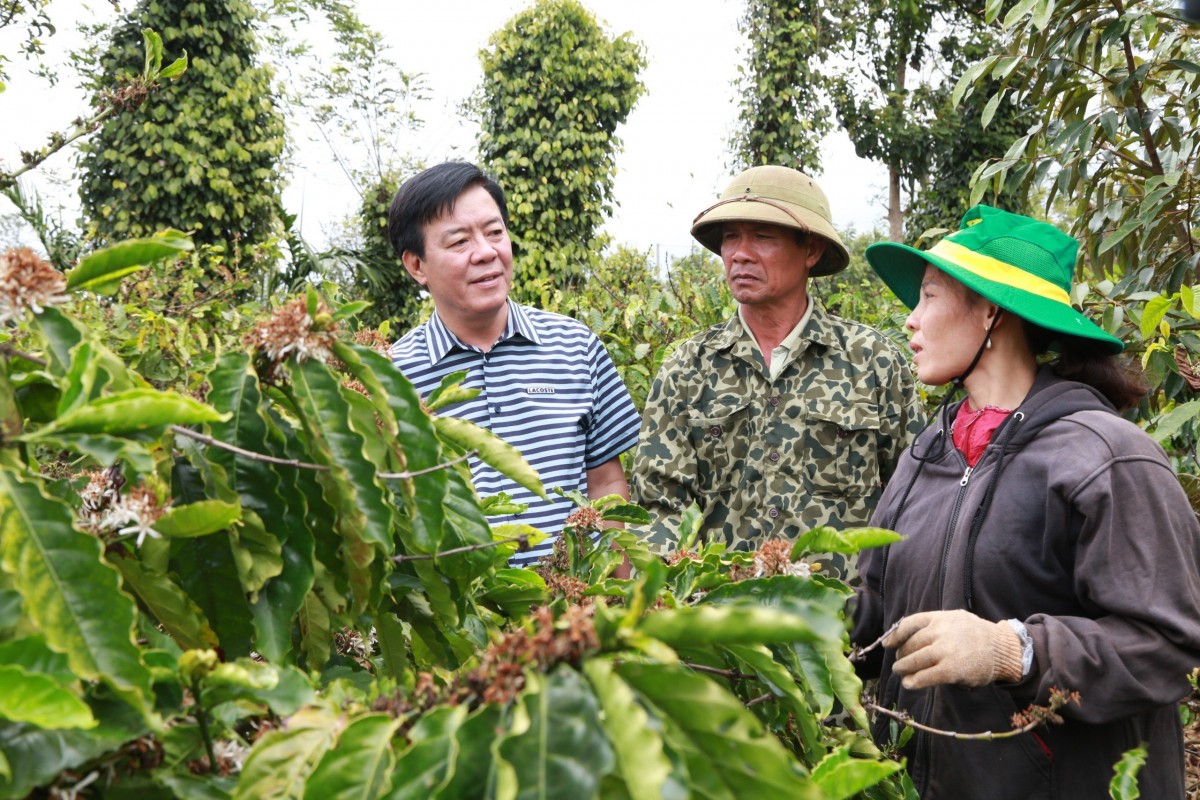 Bình Điền - Hành trình hơn nửa thế kỷ phụng sự nông nghiệp và tầm nhìn tiên phong xanh hóa - số hóa