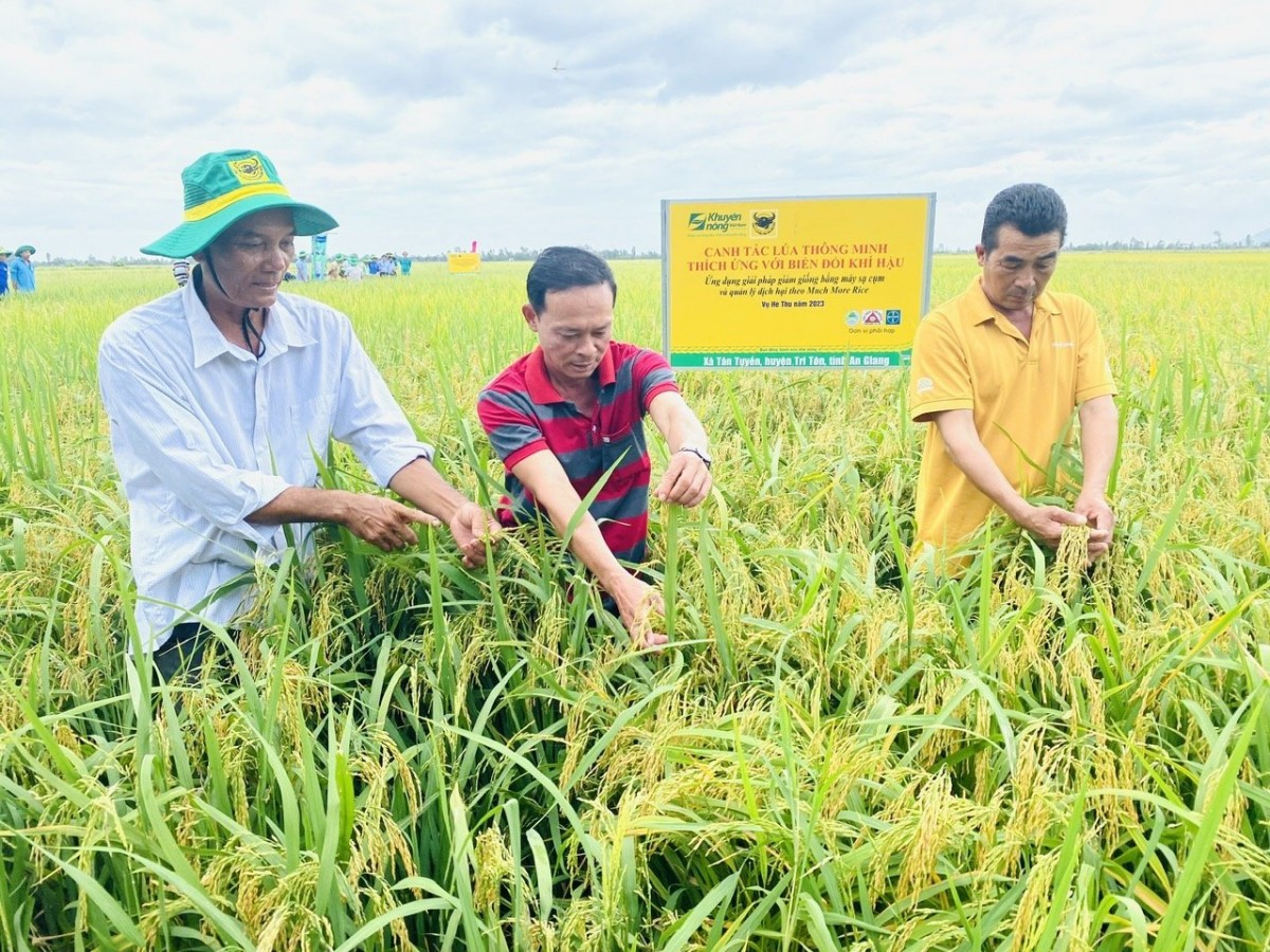 Bình Điền - Hành trình hơn nửa thế kỷ phụng sự nông nghiệp và tầm nhìn tiên phong xanh hóa - số hóa