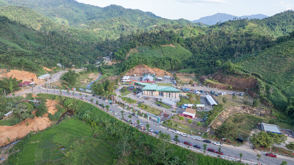 Khởi động “thời kỳ vàng son” sâm Ngọc Linh - Kỳ 1: Bảo tồn và nhân giống “vàng đỏ” hữu cơ chốn đại ngàn