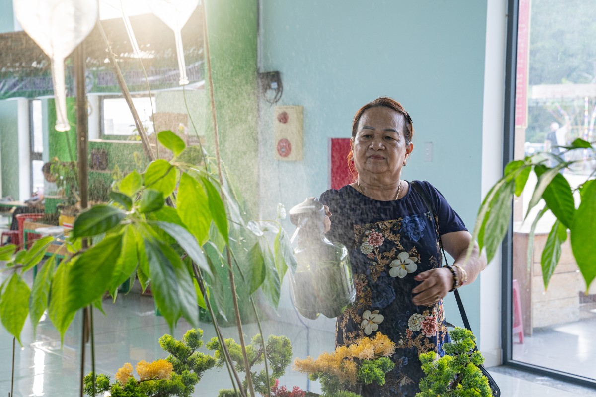 Khởi động “thời kỳ vàng son” sâm Ngọc Linh - Kỳ 1: Bảo tồn và nhân giống “vàng đỏ” hữu cơ chốn đại ngàn