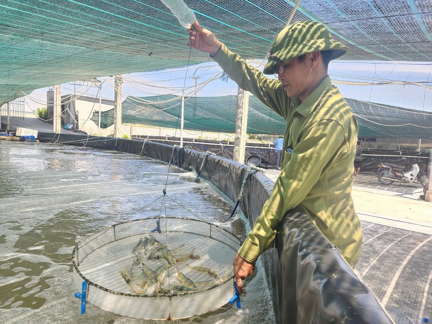 Bài 3: Nông nghiệp hữu cơ ở Nghệ An: Khi ý chí vượt khó khăn
