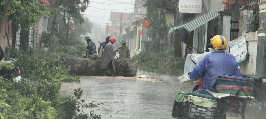 Mưa bão gây đỗ cây tại xã Tiên Trang.