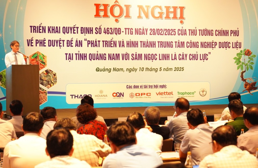 Khởi động "thời kỳ vàng son" sâm Ngọc Linh - Kỳ 2: Giấc mơ xây dựng "thủ phủ" sâm Việt Nam