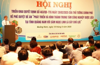 Khởi động "thời kỳ vàng son" sâm Ngọc Linh - Kỳ 2: Giấc mơ xây dựng "thủ phủ" sâm Việt Nam