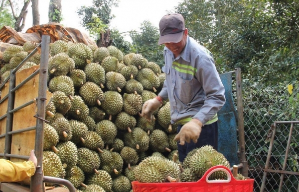 Đắk Lắk duy trì đà tăng trưởng, hướng tới mục tiêu phát triển bền vững