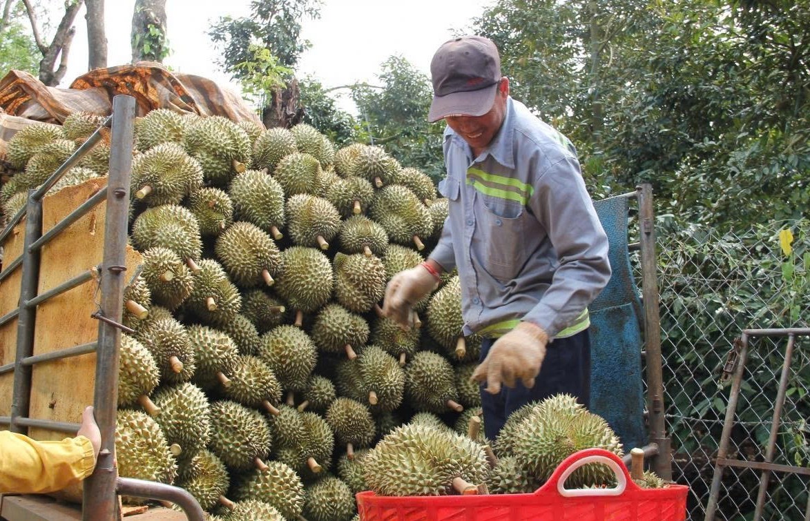 Đắk Lắk duy trì đà tăng trưởng, hướng tới mục tiêu phát triển bền vững