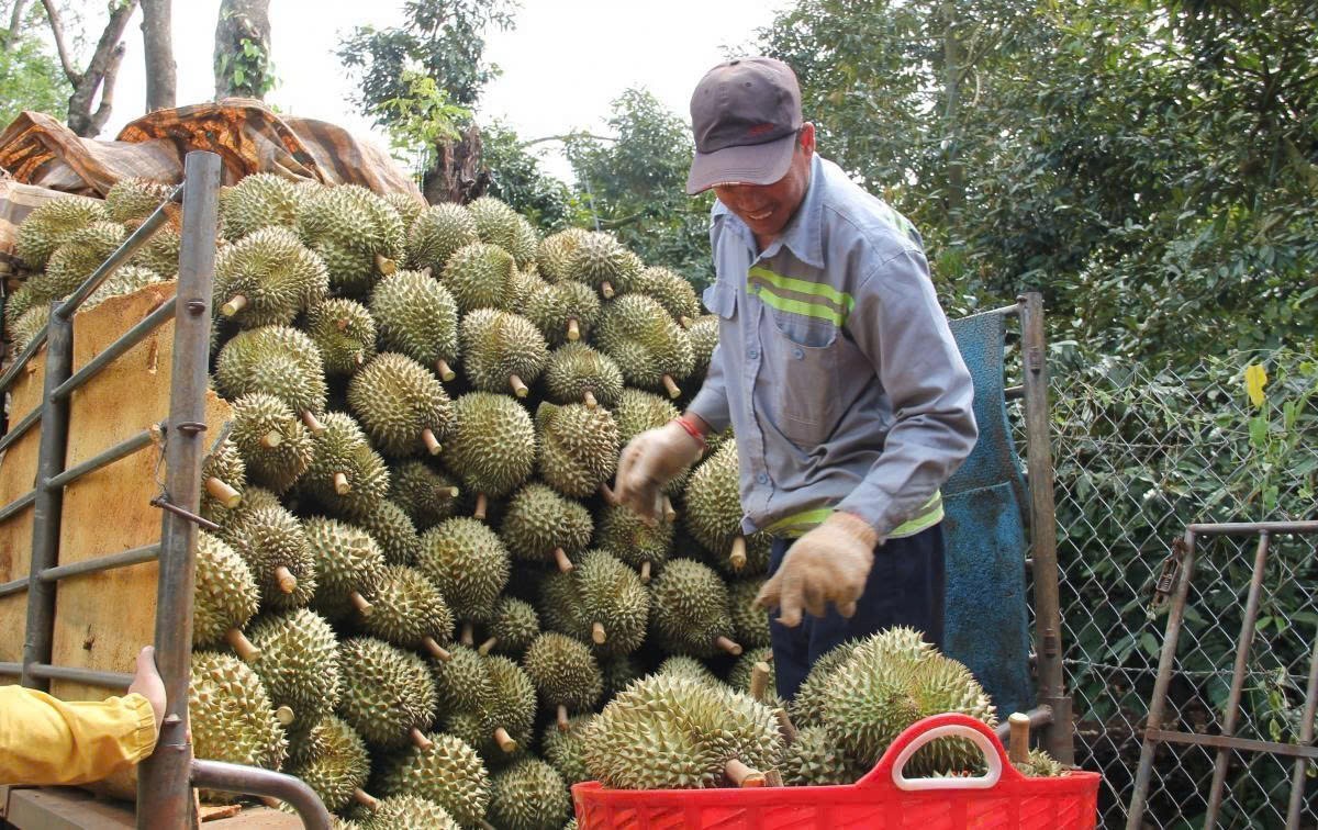 Đắk Lắk duy trì đà tăng trưởng, hướng tới mục tiêu phát triển bền vững