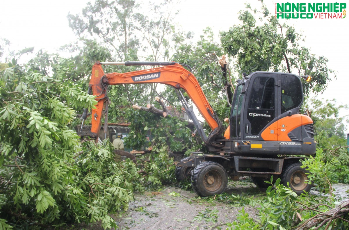 Nghệ An: Hàng nghìn ha lúa, hoa màu đổ rạp, ngập nước sau bão số 5