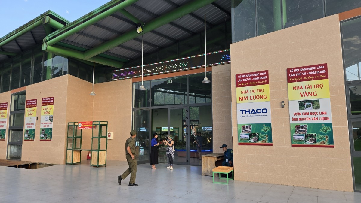 Khởi động “thời kỳ vàng son” sâm Ngọc Linh - Kỳ cuối: Từ rừng già ra thị trường quốc tế