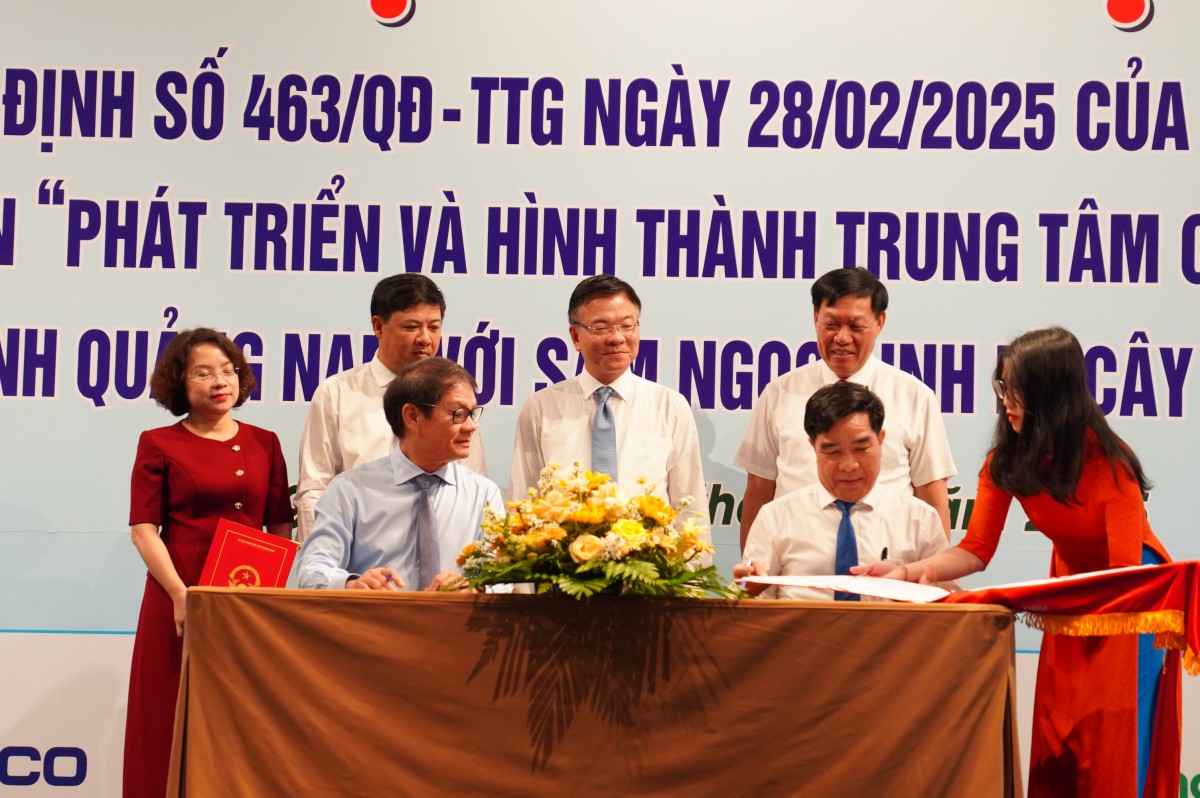 Khởi động “thời kỳ vàng son” sâm Ngọc Linh - Kỳ cuối: Từ rừng già ra thị trường quốc tế