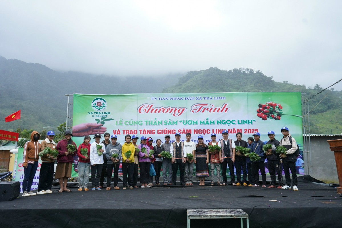 Khởi động "thời kỳ vàng son" sâm Ngọc Linh - Kỳ 2: Giấc mơ xây dựng thủ phủ Sâm Việt Nam