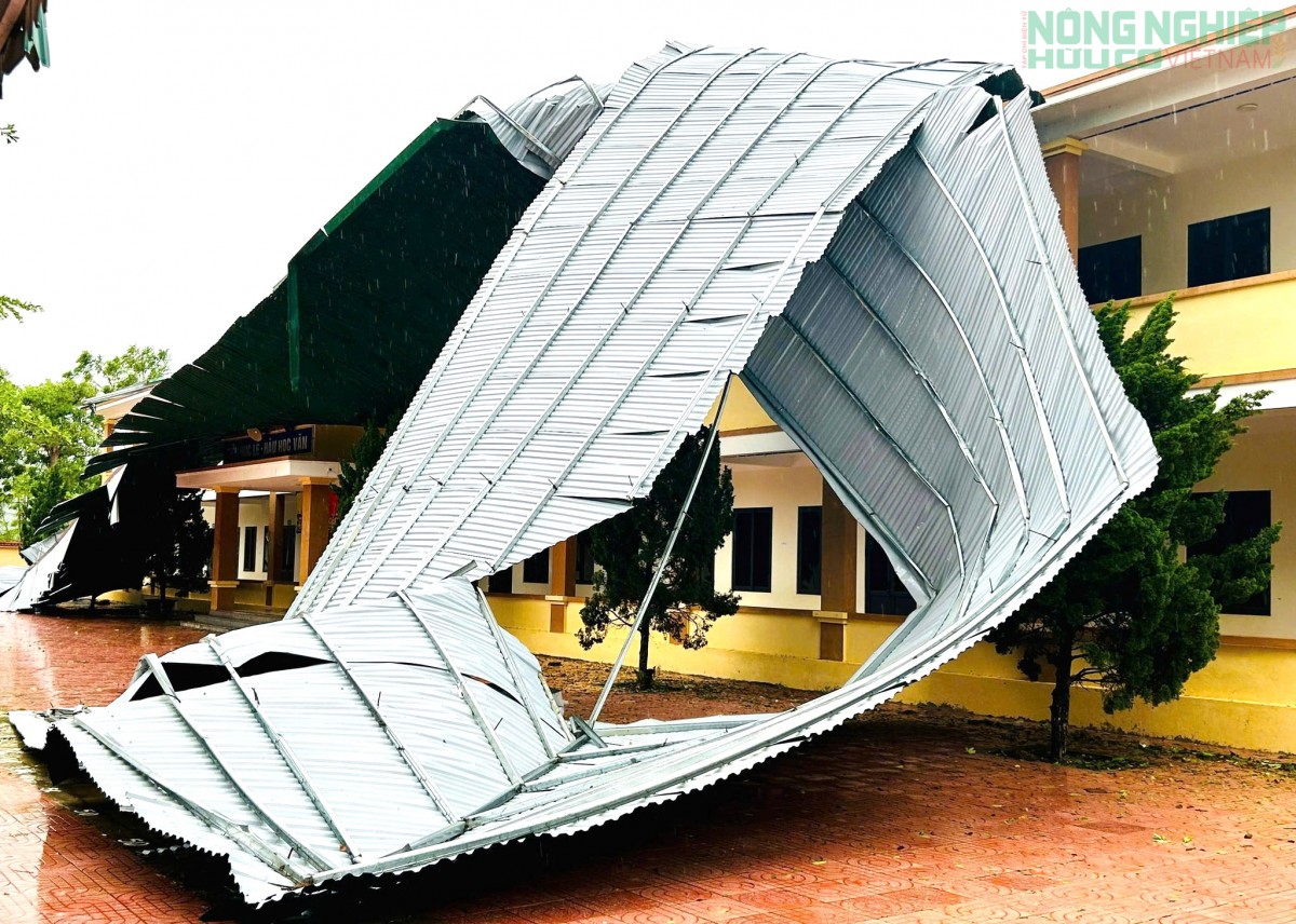 Bão số 5 khiến hơn 4.600 nhà dân bị hư hỏng, thiệt hại ước tín gần 1.400 tỉ đồng