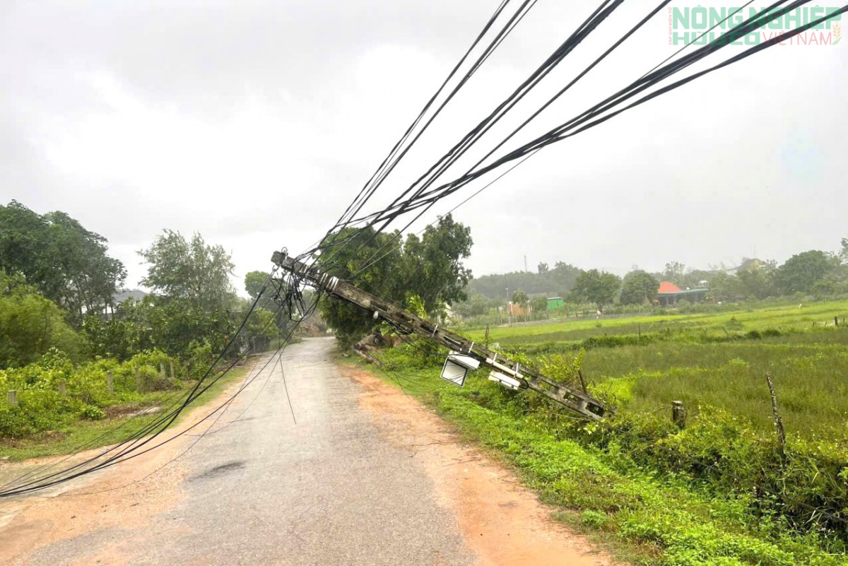 Bão số 5 khiến hơn 4.600 nhà dân bị hư hỏng, thiệt hại ước tín gần 1.400 tỉ đồng