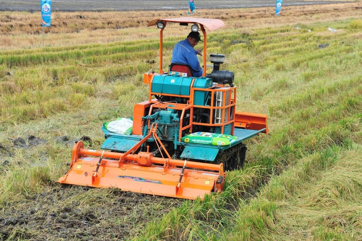 Phân bón Đầu Trâu Bio-Canxi: Vì một nền nông nghiệp bền vững