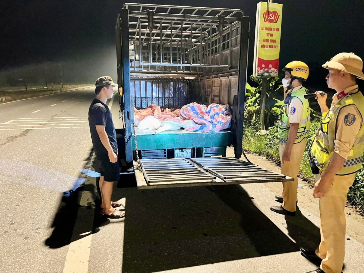 CSGT tỉnh Hưng Yên phát hiện và thu giữ 4,3 tạ lợn chết không rõ nguồn gốc