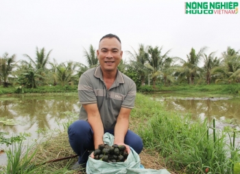 8X biến đầm lầy thành trang trại nuôi ốc bạc tỷ, làm giàu trên mảnh đất quê hương
