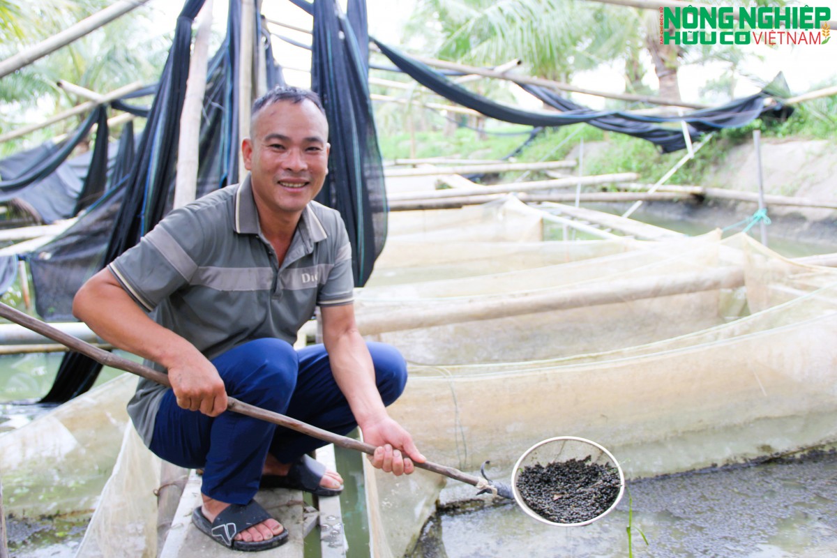 Nghệ An: Thành lập HTX nuôi trồng, chế biến và kinh doanh Ốc bươu đen Bình Minh