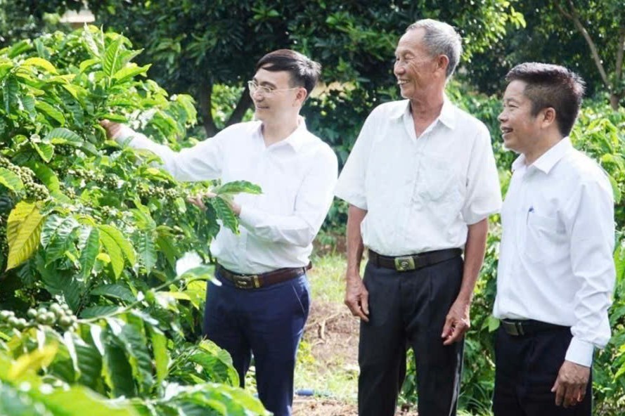 Khuyến nông Đắk Lắk đồng hành cùng nông dân