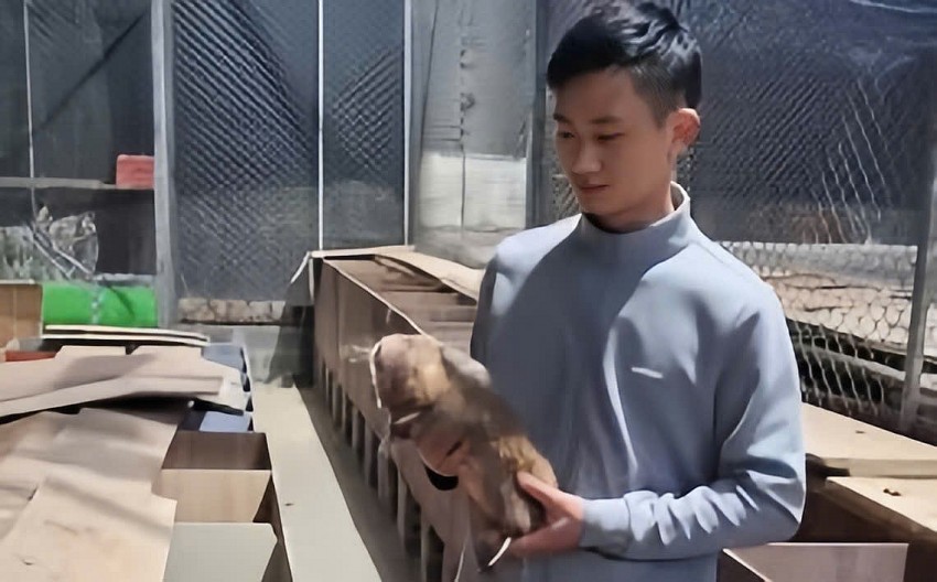 Trang trại Dúi và câu chuyện người nông dân làm kinh tế giỏi