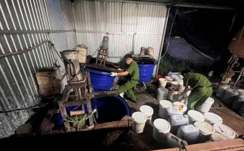 Đề nghị xử lý hình sự 3 vụ vi phạm trong lĩnh vực trồng trọt, bảo vệ và kiểm dịch thực vật