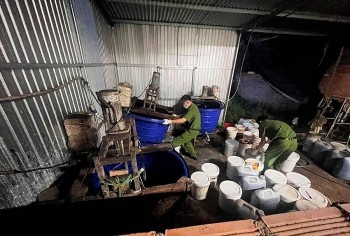 Đề nghị xử lý hình sự 3 vụ vi phạm trong lĩnh vực trồng trọt, bảo vệ và kiểm dịch thực vật