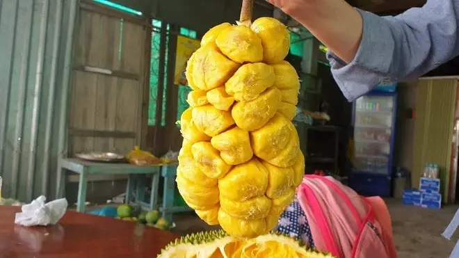 Mít Tố Nữ Long Khánh - loại quả đặc trưng của vùng đất đỏ Đông Nam Bộ